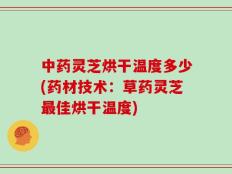 中药灵芝烘干温度多少(药材技术：草药灵芝最佳烘干温度)
