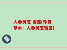 人参灵芝 雪莲(珍贵草本：人参灵芝雪莲)
