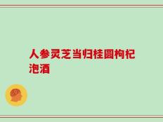 人参灵芝当归桂圆枸杞泡酒