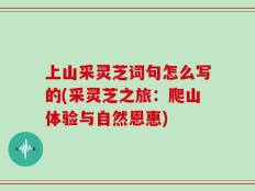 上山采灵芝词句怎么写的(采灵芝之旅：爬山体验与自然恩惠)