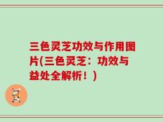 三色灵芝功效与作用图片(三色灵芝：功效与益处全解析！)