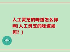 人工灵芝的味道怎么样啊(人工灵芝的味道如何？)