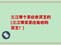 三江哪个茶庄收灵芝的(三江哪家茶庄能收购灵芝？)
