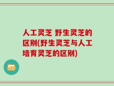 人工灵芝 野生灵芝的区别(野生灵芝与人工培育灵芝的区别)
