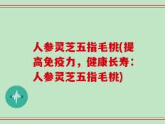 人参灵芝五指毛桃(提高免疫力，健康长寿：人参灵芝五指毛桃)