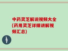中药灵芝解说视频大全(药用灵芝详细讲解视频汇总)
