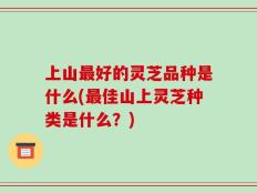 上山最好的灵芝品种是什么(最佳山上灵芝种类是什么？)