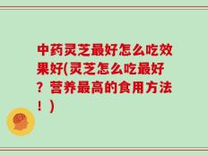 中药灵芝最好怎么吃效果好(灵芝怎么吃最好？营养最高的食用方法！)