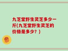 九芝堂野生灵芝多少一斤(九芝堂野生灵芝的价格是多少？)