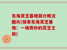 东海灵芝基地简介概况图片(探索东海灵芝基地：一场奇妙的灵芝之旅)