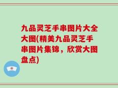 九品灵芝手串图片大全大图(精美九品灵芝手串图片集锦，欣赏大图盘点)