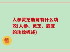 人参灵芝鹿茸有什么功效(人参、灵芝、鹿茸的功效概述)