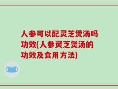 人参可以配灵芝煲汤吗功效(人参灵芝煲汤的功效及食用方法)