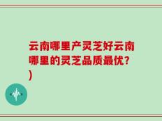 云南哪里产灵芝好云南哪里的灵芝品质最优？)