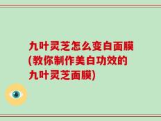 九叶灵芝怎么变白面膜(教你制作美白功效的九叶灵芝面膜)