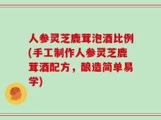 人参灵芝鹿茸泡酒比例(手工制作人参灵芝鹿茸酒配方，酿造简单易学)