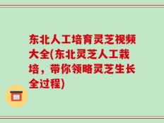 东北人工培育灵芝视频大全(东北灵芝人工栽培，带你领略灵芝生长全过程)