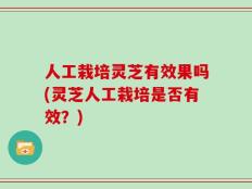 人工栽培灵芝有效果吗(灵芝人工栽培是否有效？)