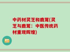 中药材灵芝和鹿茸(灵芝与鹿茸：中医传统药材重现辉煌)
