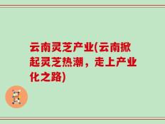 云南灵芝产业(云南掀起灵芝热潮，走上产业化之路)