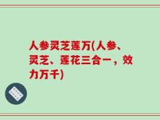 人参灵芝莲万(人参、灵芝、莲花三合一，效力万千)