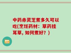中药赤灵芝煮多久可以吃(烹饪药材：草药挂耳草, 如何煮好？)