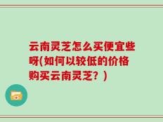 云南灵芝怎么买便宜些呀(如何以较低的价格购买云南灵芝？)
