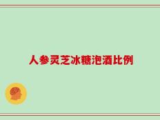 人参灵芝冰糖泡酒比例