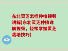 东北灵芝怎样种植视频讲解(东北灵芝种植详解视频，轻松掌握灵芝栽培技巧)