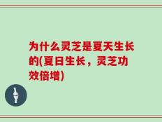 为什么灵芝是夏天生长的(夏日生长，灵芝功效倍增)