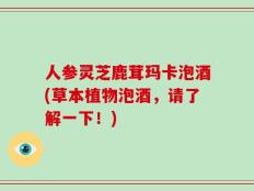 人参灵芝鹿茸玛卡泡酒(草本植物泡酒，请了解一下！)
