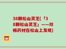 38颗松山灵芝(「38颗松山灵芝」——珍稀药材在松山上发现)
