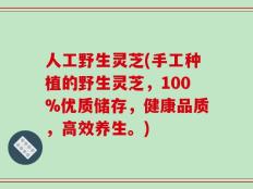人工野生灵芝(手工种植的野生灵芝，100%优质储存，健康品质，高效养生。)