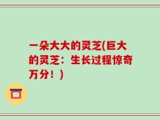 一朵大大的灵芝(巨大的灵芝：生长过程惊奇万分！)