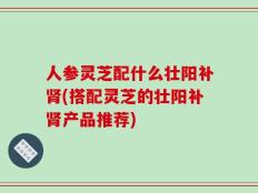 人参灵芝配什么壮阳补肾(搭配灵芝的壮阳补肾产品推荐)