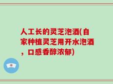 人工长的灵芝泡酒(自家种植灵芝用开水泡酒，口感香醇浓郁)