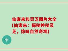 仙客来和灵芝图片大全(仙客来：探秘神秘灵芝，惊叹自然奇观)