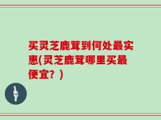 买灵芝鹿茸到何处最实惠(灵芝鹿茸哪里买最便宜？)