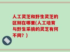 人工灵芝和野生灵芝的区别在哪里(人工培育与野生采摘的灵芝有何不同？)