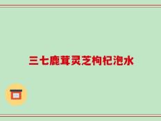 三七鹿茸灵芝枸杞泡水