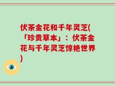 伏茶金花和千年灵芝(「珍贵草本」：伏茶金花与千年灵芝惊艳世界)