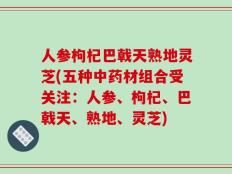 人参枸杞巴戟天熟地灵芝(五种中药材组合受关注：人参、枸杞、巴戟天、熟地、灵芝)
