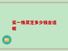 买一株灵芝多少钱合适呢