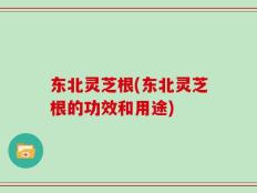 东北灵芝根(东北灵芝根的功效和用途)