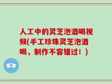 人工中的灵芝泡酒喝视频(手工珍珠灵芝泡酒喝，制作不容错过！)