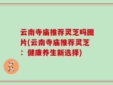 云南寺庙推荐灵芝吗图片(云南寺庙推荐灵芝：健康养生新选择)