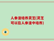 人参渣培养灵芝(灵芝可以在人参渣中培养)