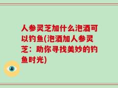 人参灵芝加什么泡酒可以钓鱼(泡酒加人参灵芝：助你寻找美妙的钓鱼时光)