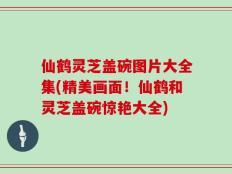 仙鹤灵芝盖碗图片大全集(精美画面！仙鹤和灵芝盖碗惊艳大全)