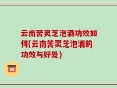 云南苦灵芝泡酒功效如何(云南苦灵芝泡酒的功效与好处)